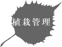 植栽管理