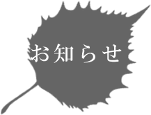 伐採作業