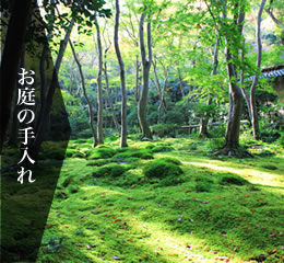 お庭の手入れ