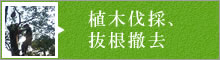 植木伐採、抜根撤去